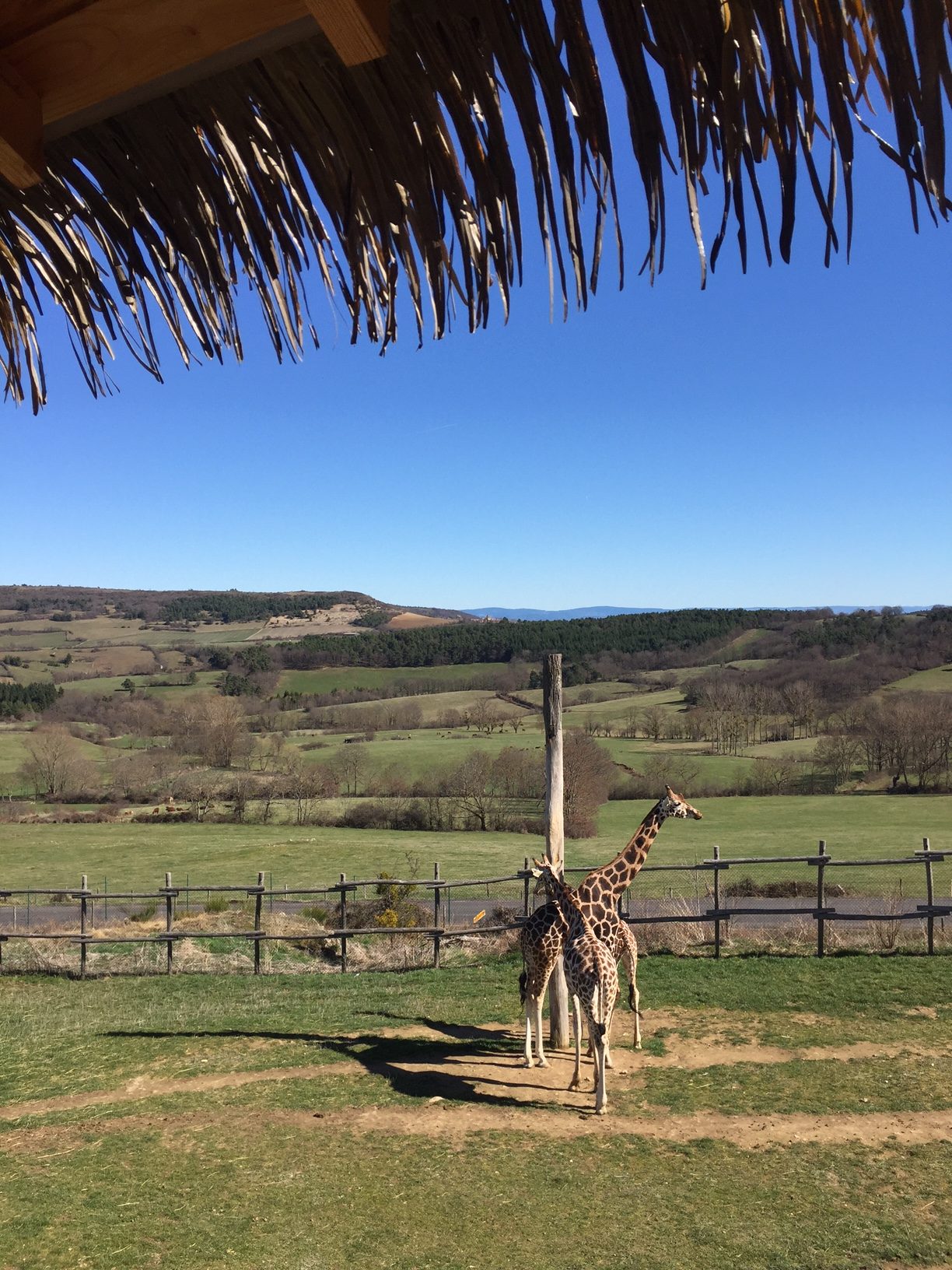PuydeDôme > Parc animalier d’Auvergne Graines”></p>
<p>PuydeDôme > Parc animalier d’Auvergne Graines De Baroudeurs Graines De Baroudeurs</p>
<p></center></br></p>
<p><center><img decoding=