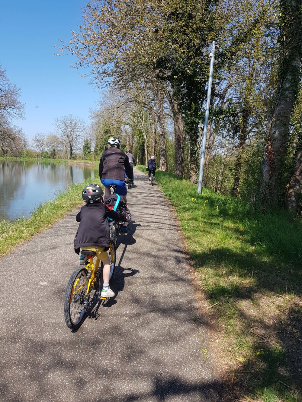 Corde de remorquage pour vélo Meta Bike TowKid pour Enfants, corde de traction