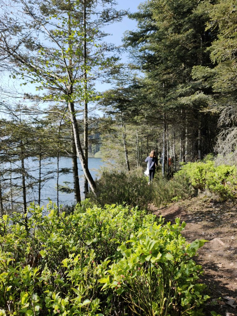 séjour en famille dans les vosges vue sur le lac de pierre percée séjour en famille dans les vosges