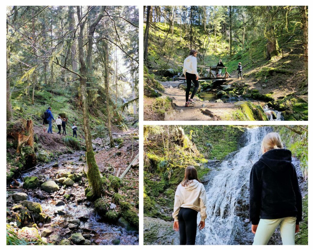Saut de la Bourrique activité en famille dans les Vosges