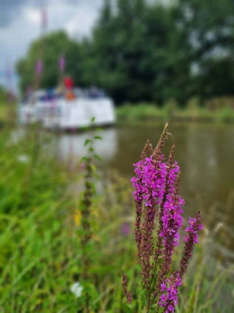 Tourisme fluvial Canal du Nivernais