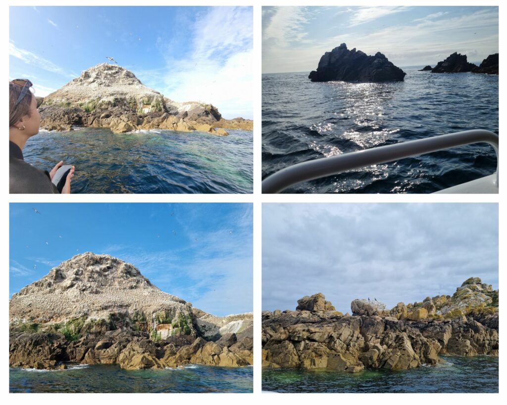 sortie en famille en Bretagne 7 îles