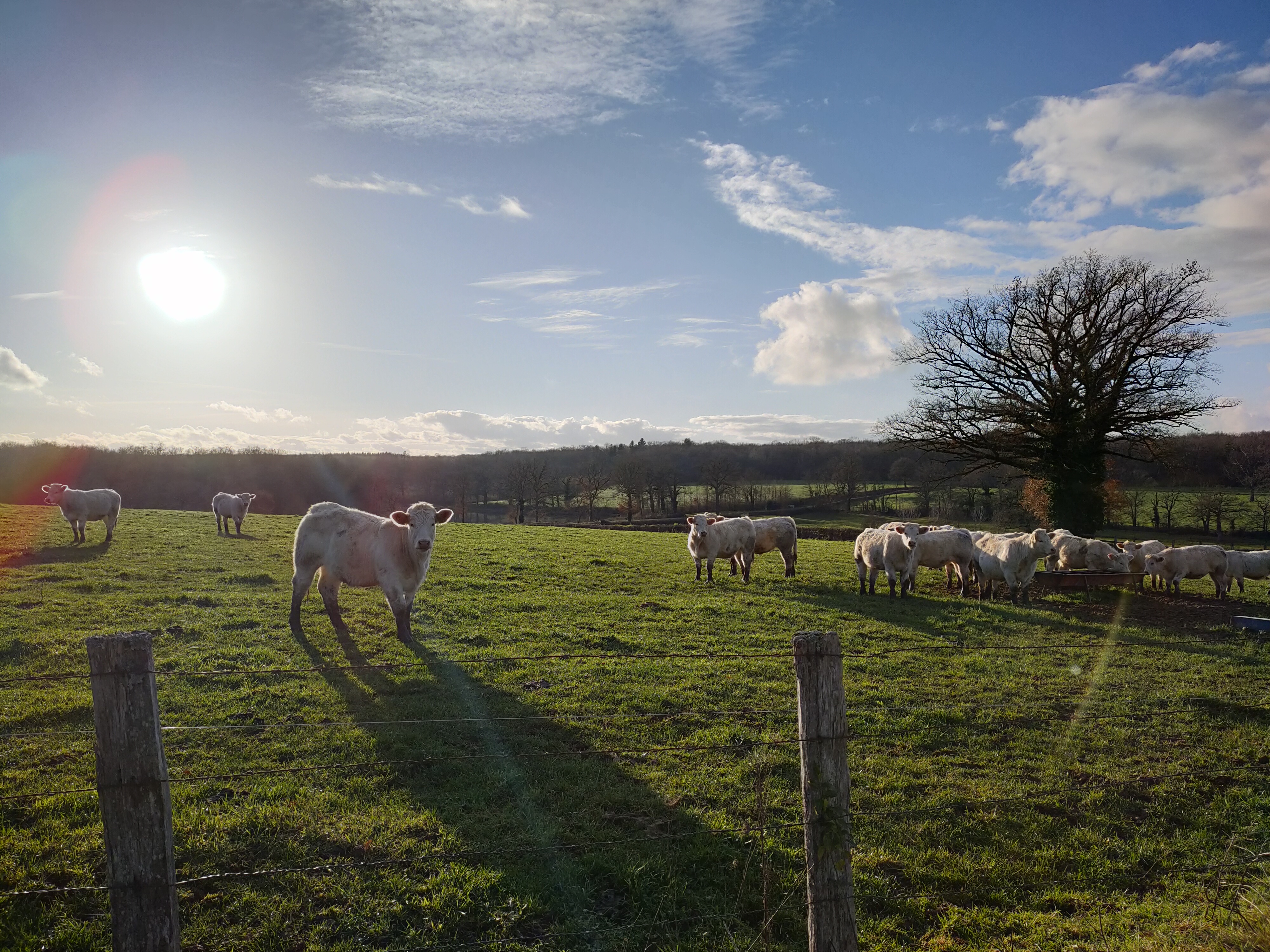 campagne bourguignonne alternative pension Finistère