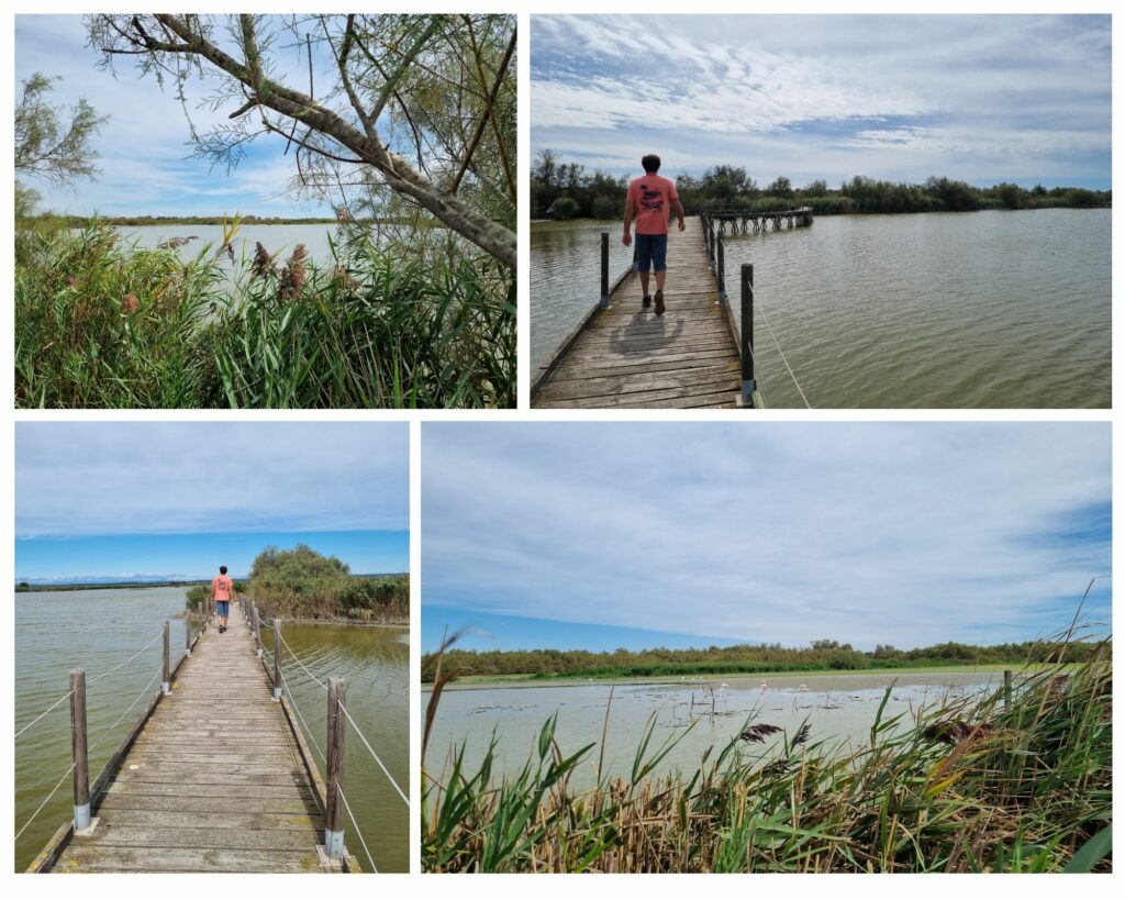 La Marette pendant un week-end au Grau-du-Roi La Marette pendant un week-end au Grau-du-Roi