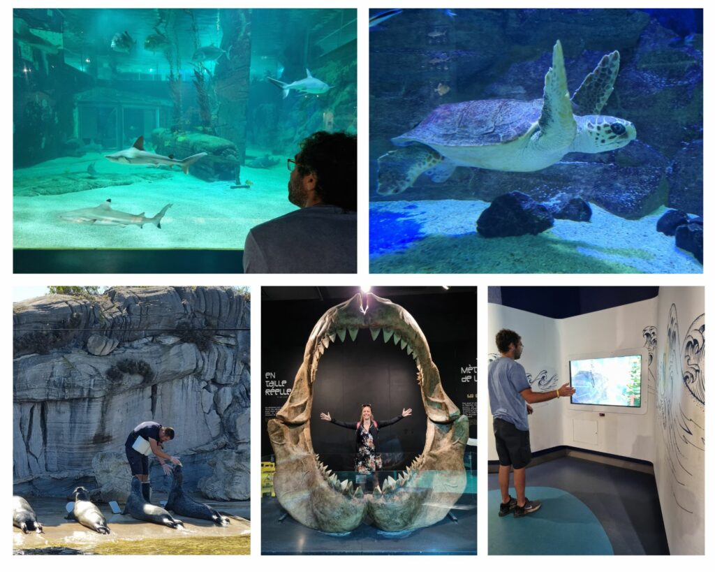 Seaquarium au Grau-du-Roi Seaquarium au Grau-du-Roi