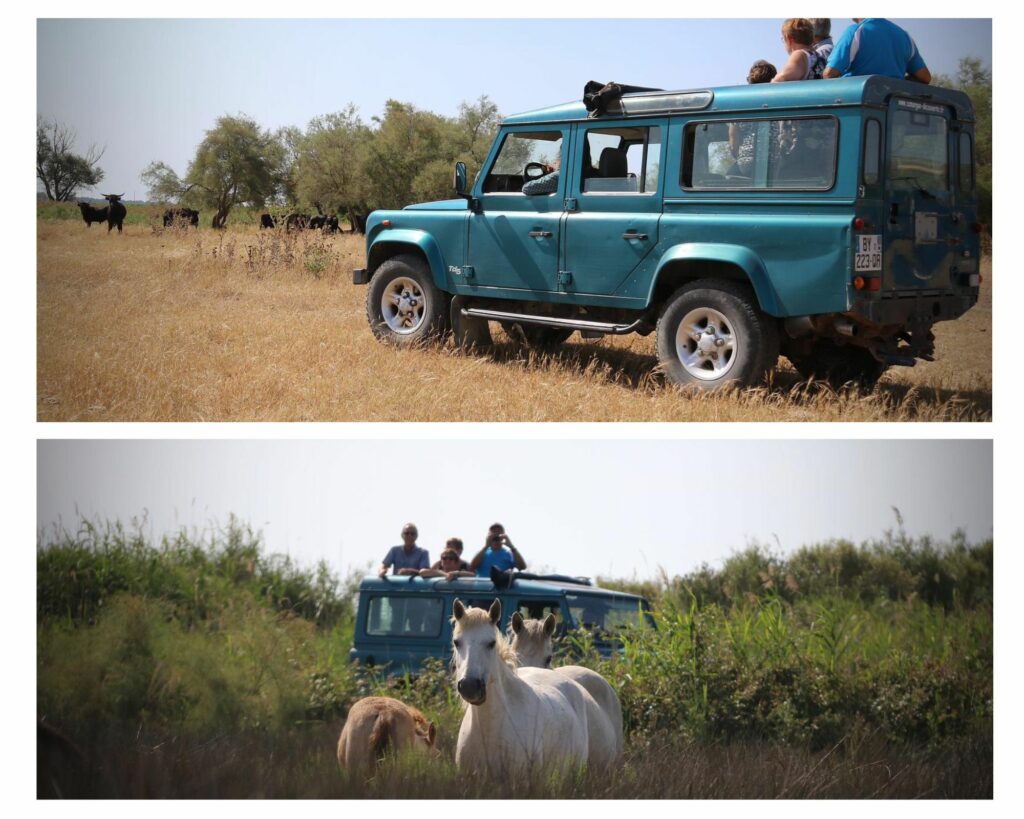 week-end dans le Gard en Camargue Verte week-end dans le Gard en Camargue Verte