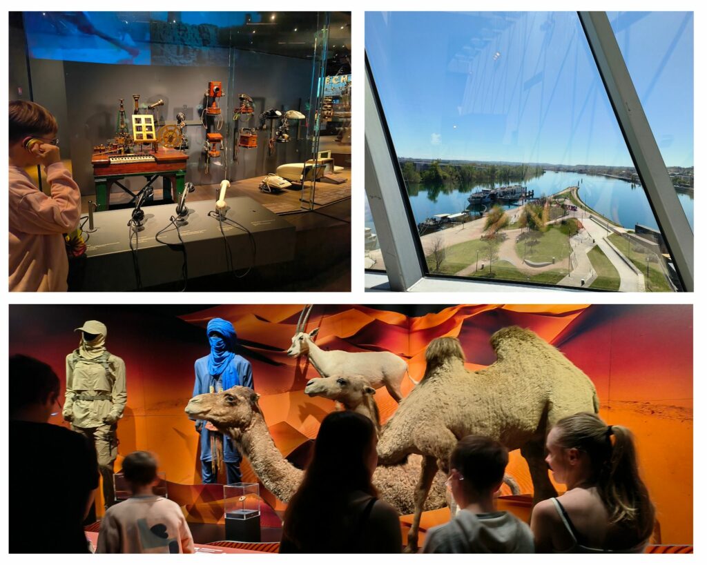 Musée des Confluences avec des ados Musée des Confluences avec des ados